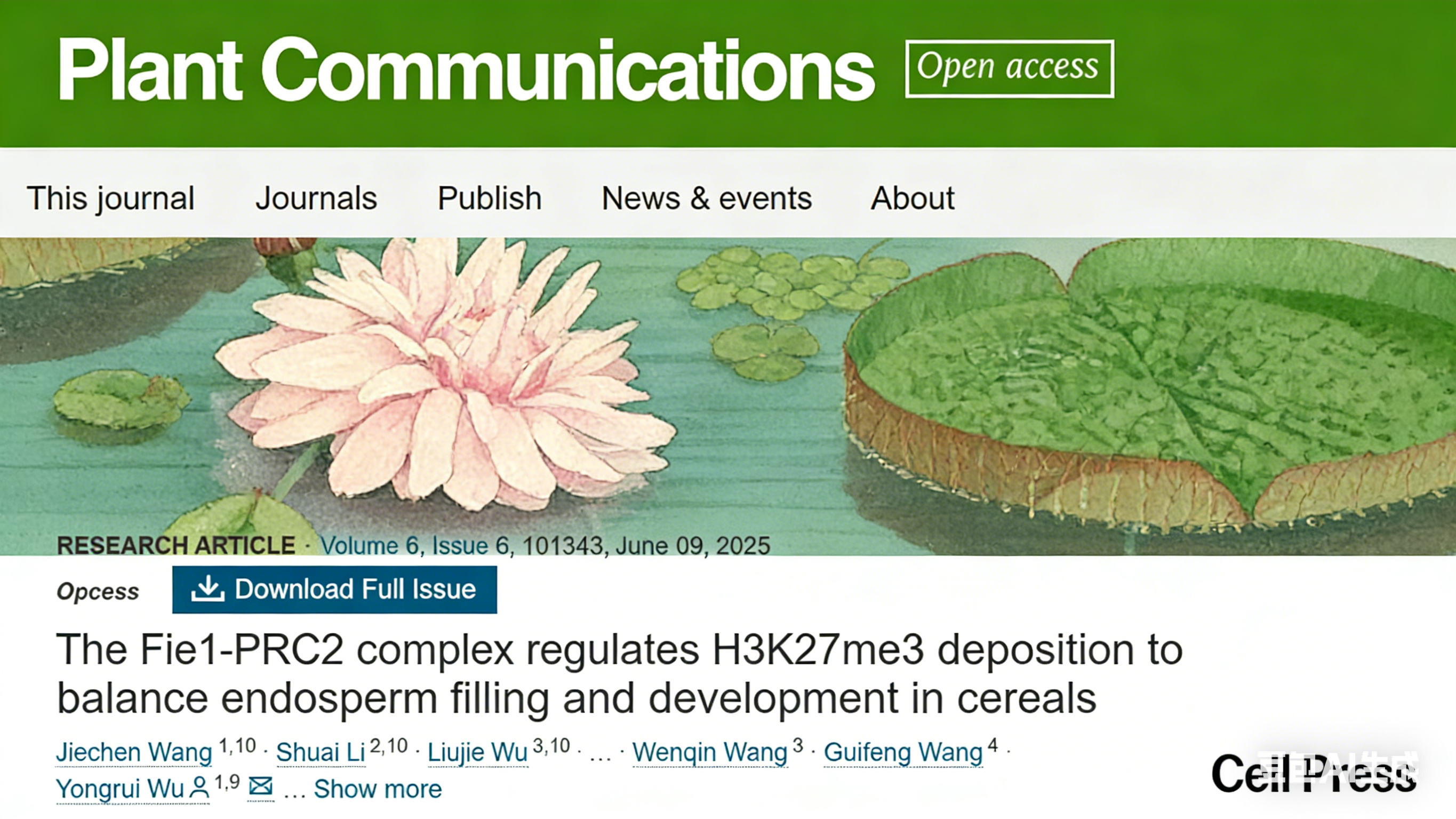 NGS助力禾本科胚乳发育研究
