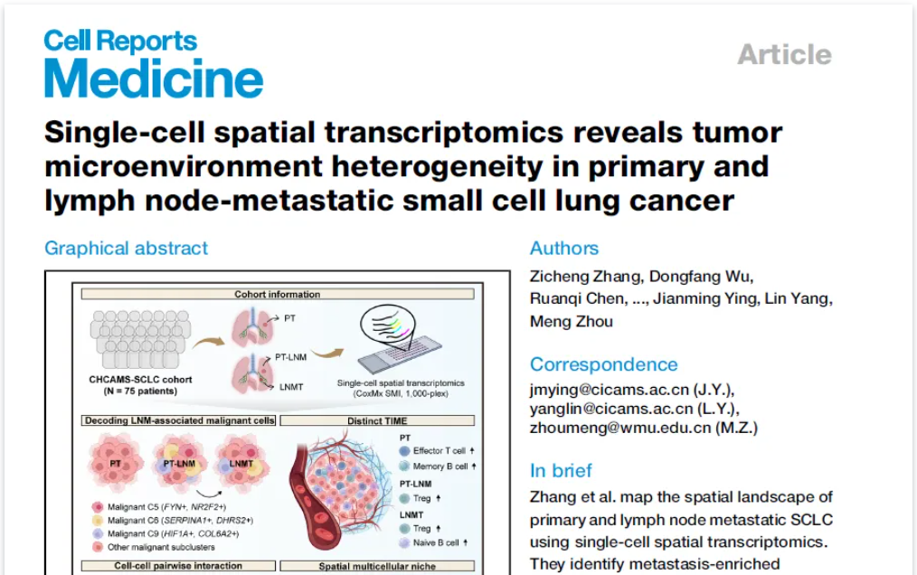 CosMx SMI构建首个小细胞肺癌原发与淋巴结转移高分辨率空间单细胞图谱